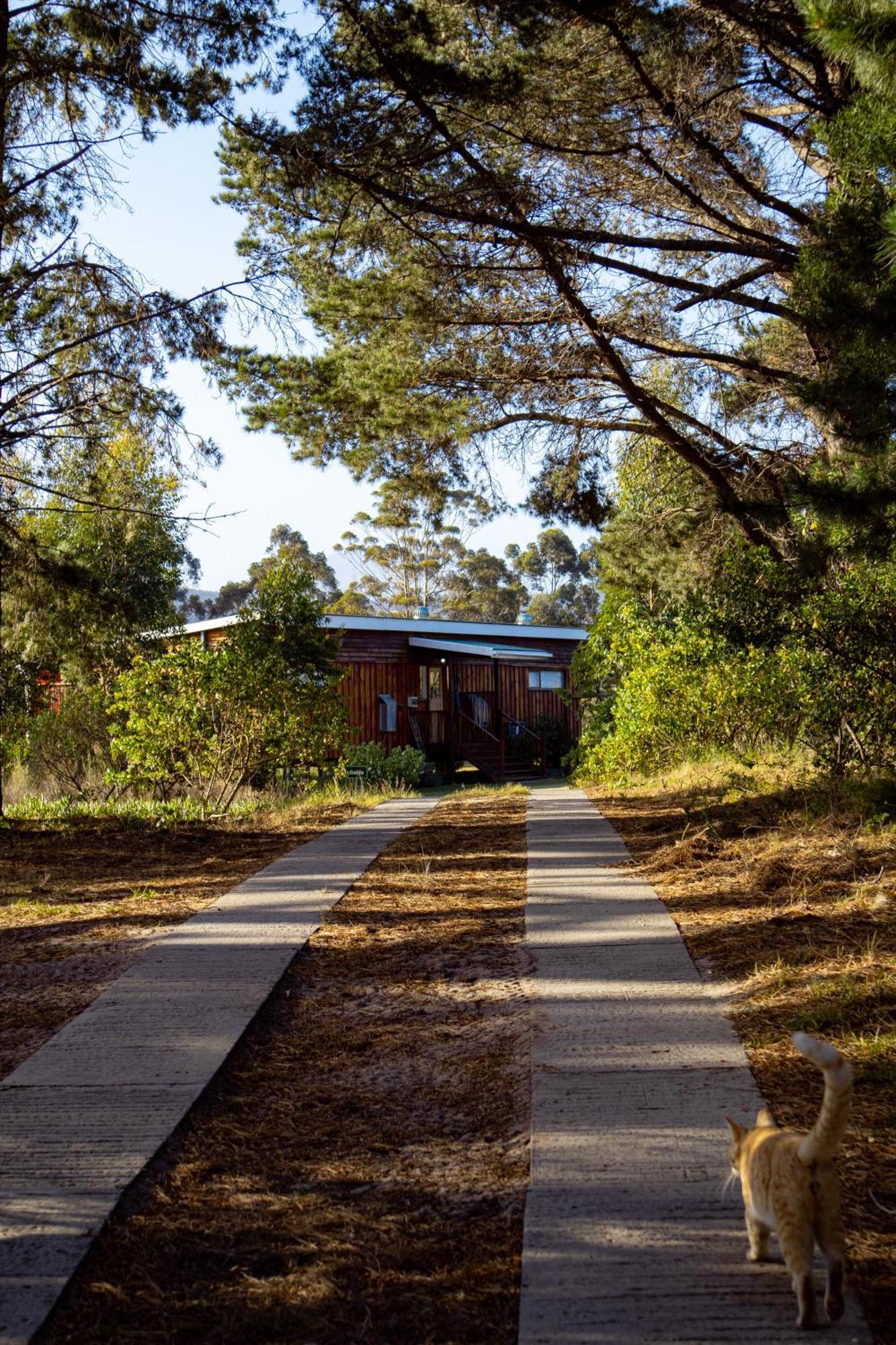 Hotel Equleni Guest Farm Sedgefield Exteriér fotografie
